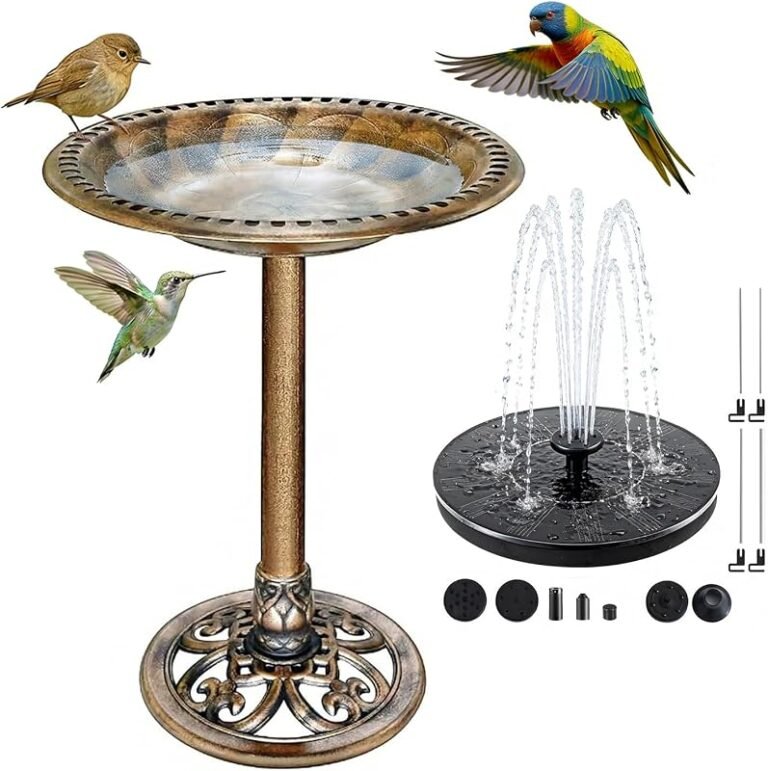 5 Best Choice Products Solar Outdoor Bird Baths for 2026 – Expert Review