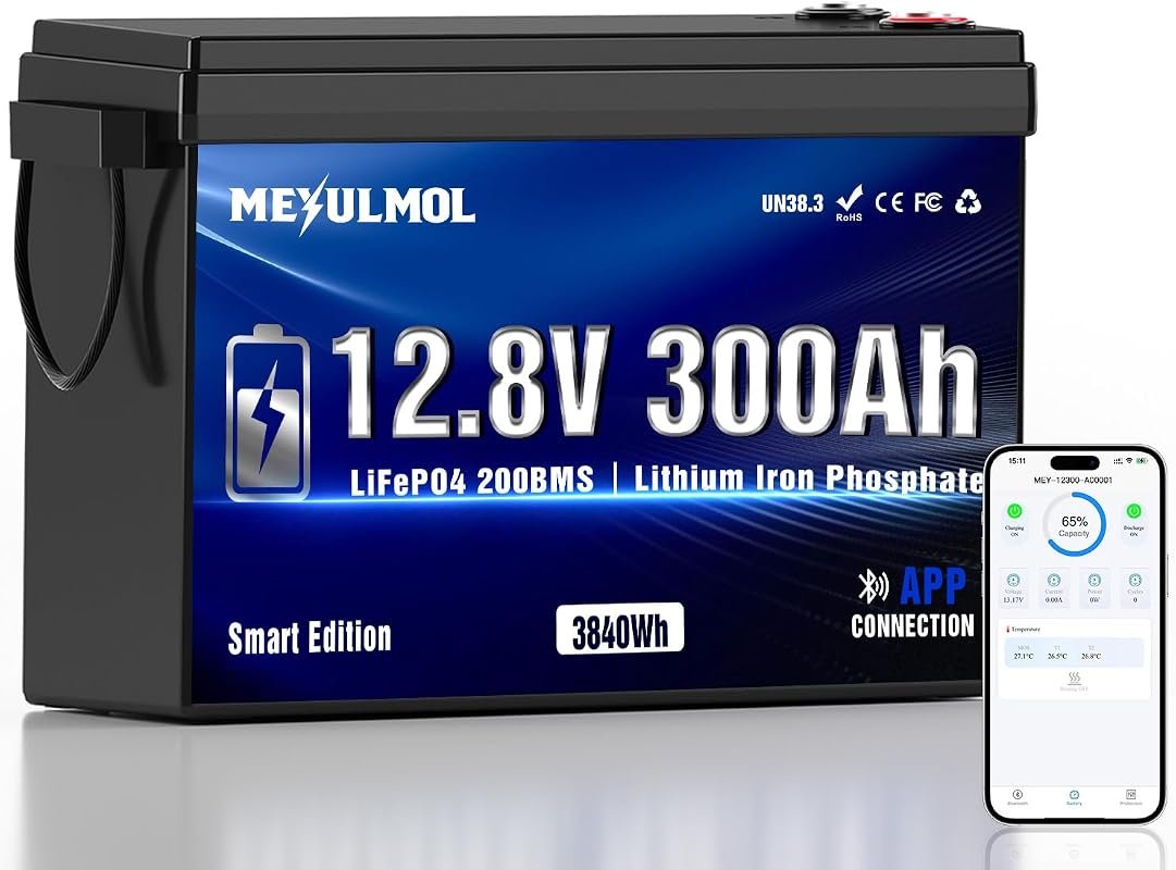 12V 300Ah LiFePO4 Battery with 200A BMS, 15000+ Cycles, 3840Wh, Low-Te